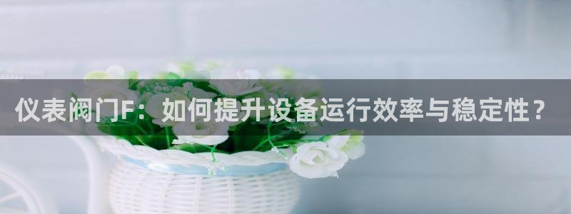 新宝gg测速登录
