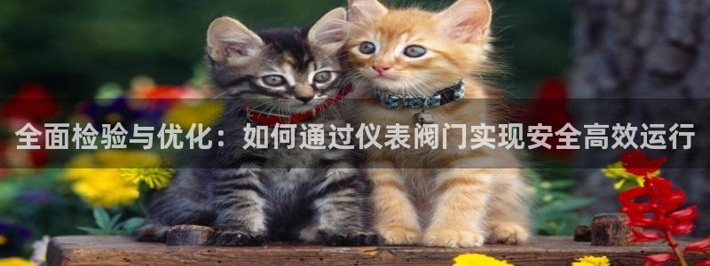 新gg官网_新宝GG创造奇迹