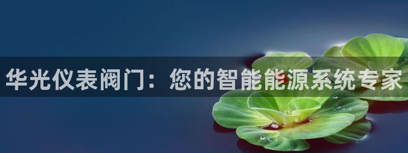 新宝gg平台gg登录gg网址