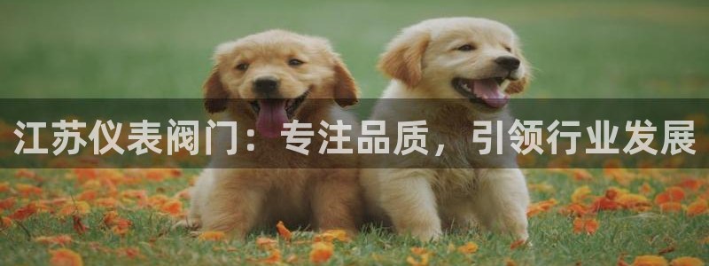 新宝gg是新宝几