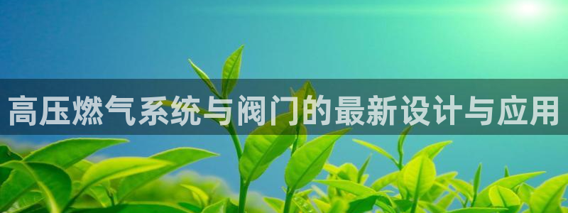 新宝gg入口网址