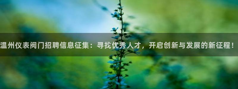 新宝gg   创造奇迹