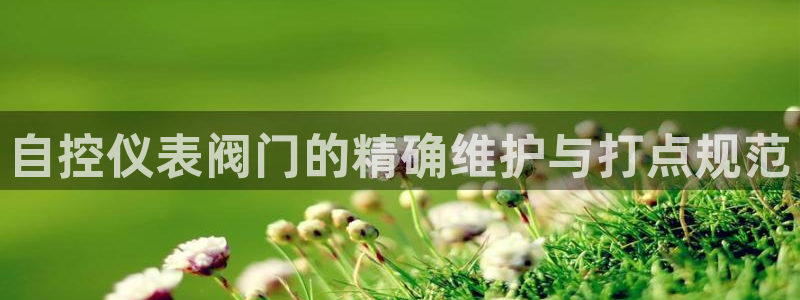 新宝gg珈75775