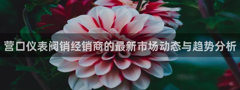 新宝gg平台下载安装