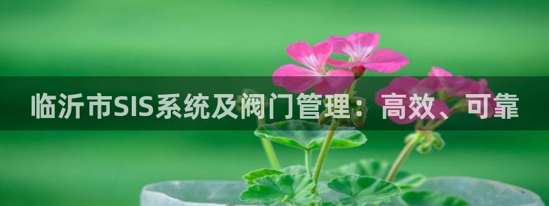 新宝gg登陆平台