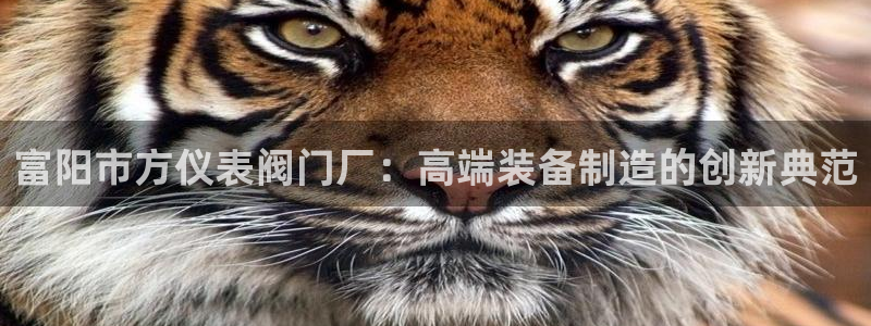 新宝GG创业奇迹