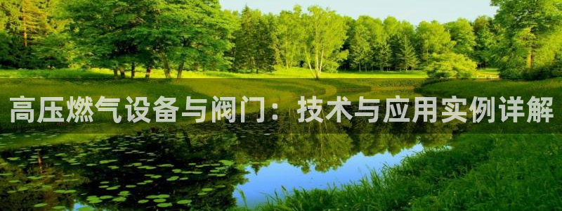 广东新宝电器gg