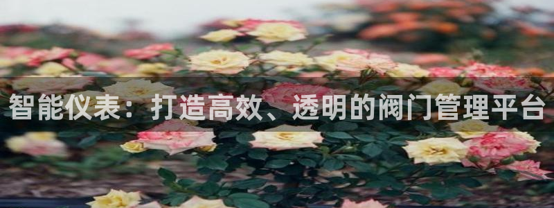 新宝_gg