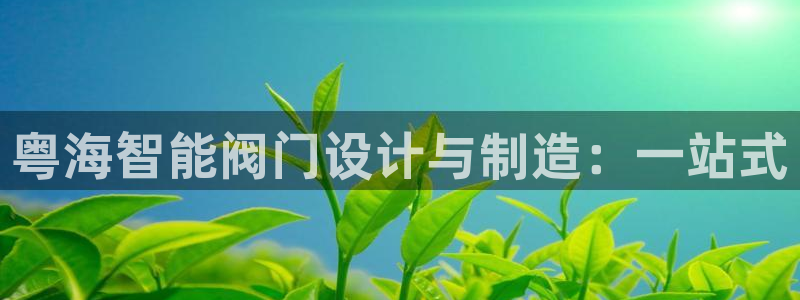 新宝 gg 下载