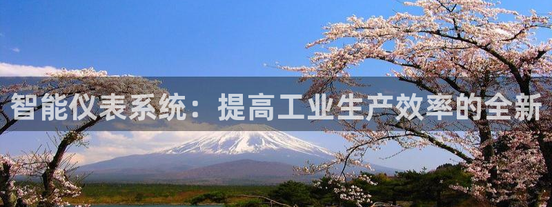 新宝gg平台q891465