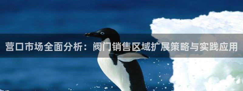 新宝GG电话