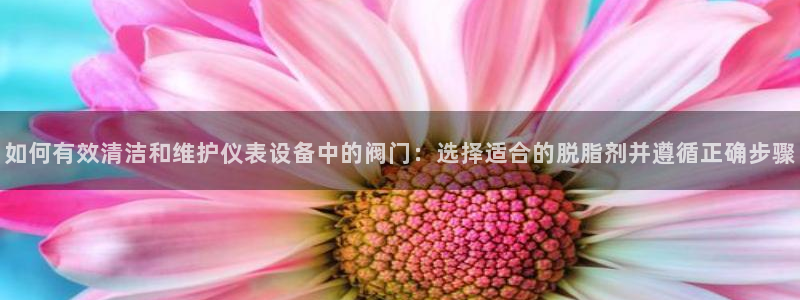 怎么代理新宝gg