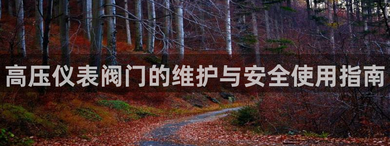 新宝gg官方主管