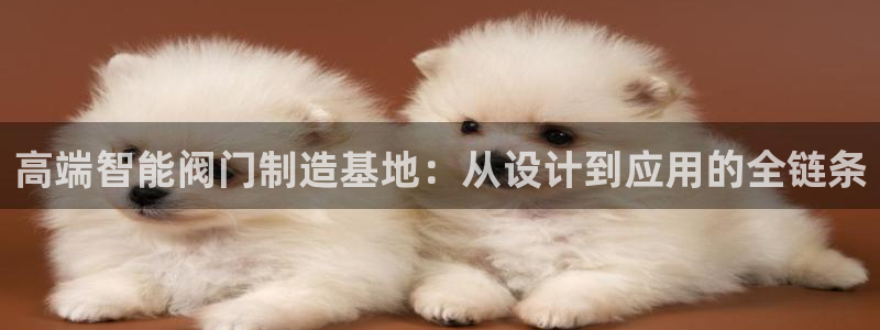 广东新宝电器gg