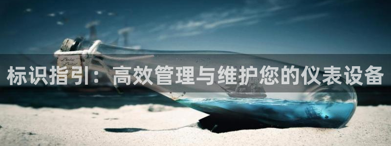 新宝GG主管41333