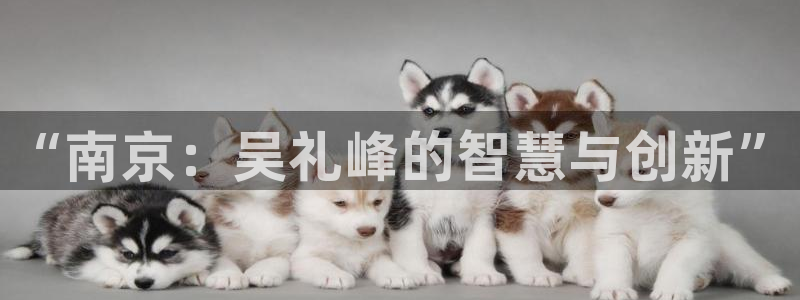 新宝gg 登陆