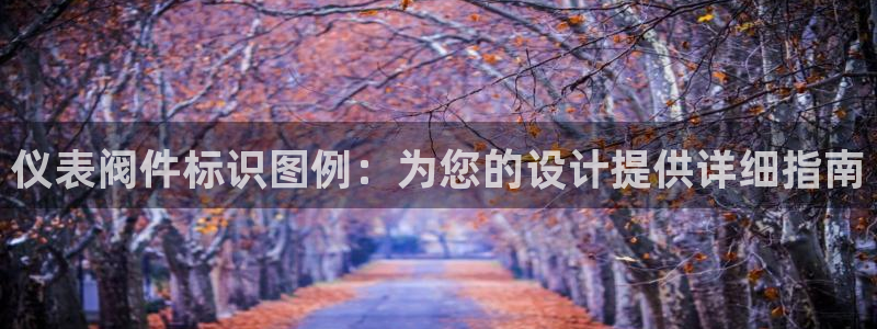 新宝gg主