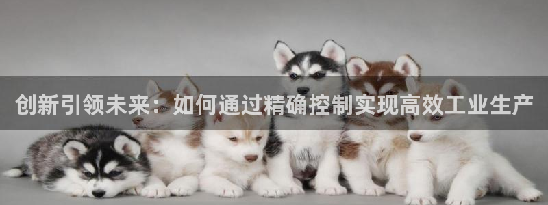 新宝gg推荐