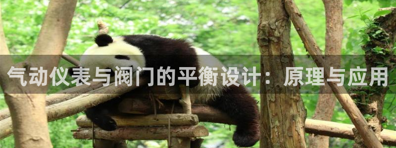 新宝gg平台登录 新宝GG