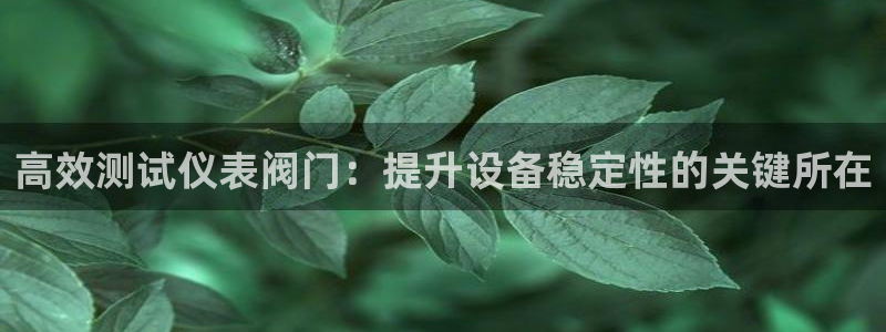 新宝gg平台首页