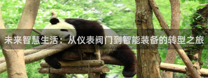 新宝GG—创造奇迹