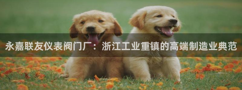 新宝gg注册新宝GG注册登录