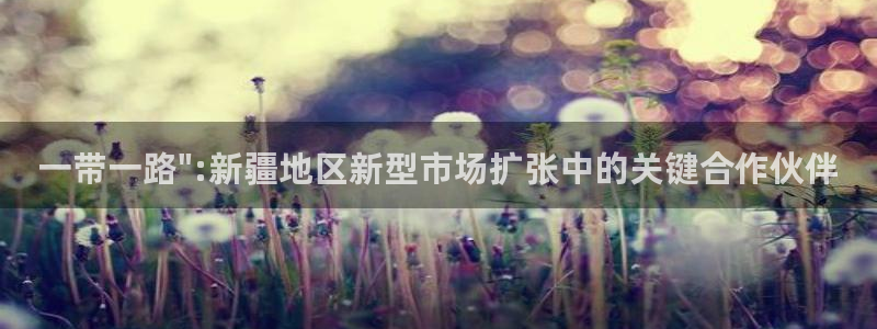 关于新宝GG