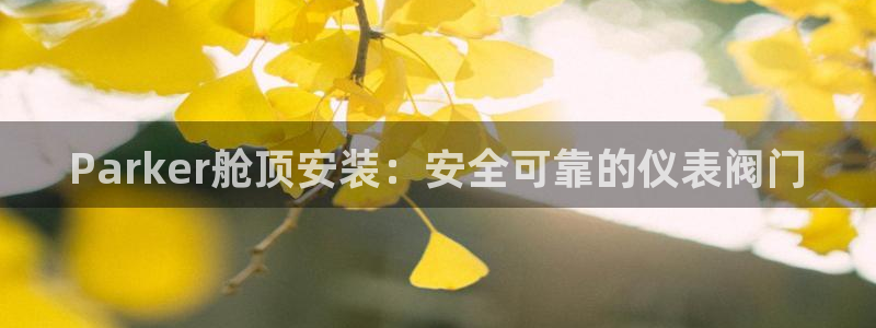 新宝gg招商-299136