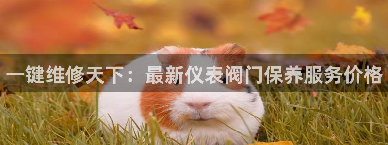 新宝gg平台q891465