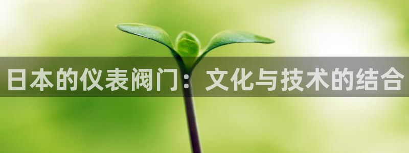 新宝gg平台怎么样