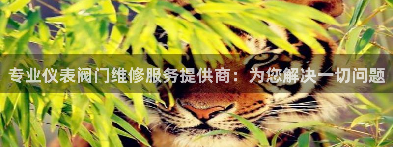 新宝gg娱乐主管q42873