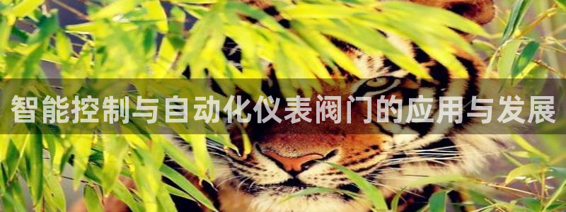 新宝gg注