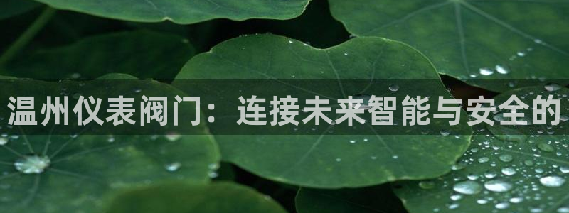 新宝gg游戏登录