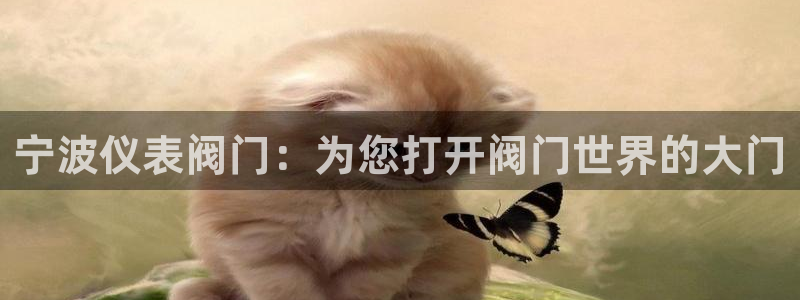 vip新宝gg