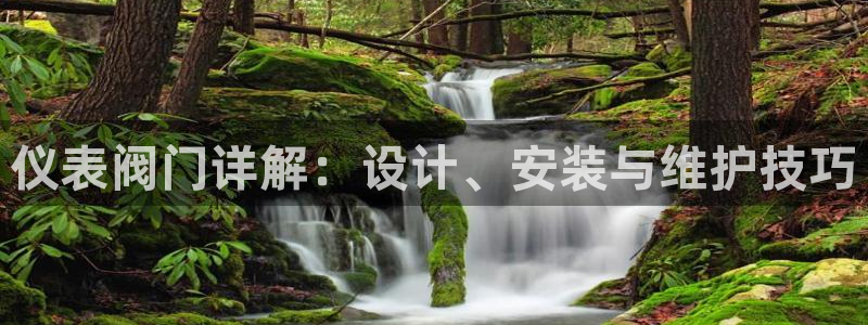 创造奇迹 新宝gg