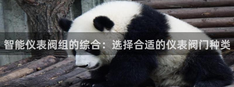 新宝gg登录网址