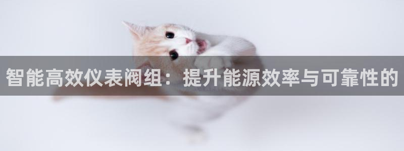 新宝gg如何做到总代理