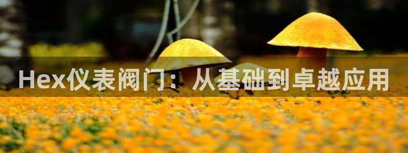 新宝GG娱乐下载