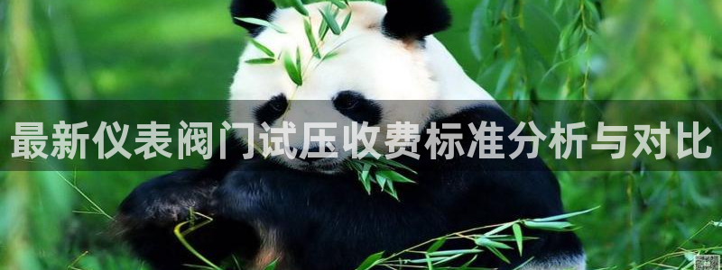 新宝gg客户端下载