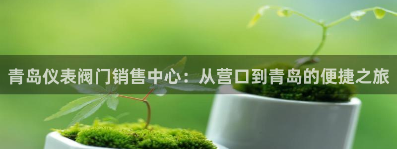 新浪新闻新宝gg