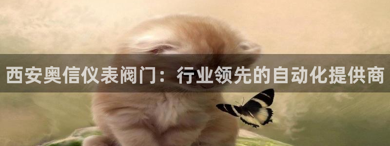 新宝gg注册网站