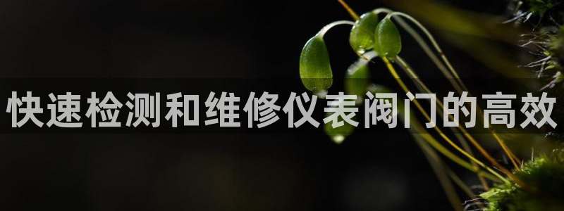 新宝gg娱乐注册