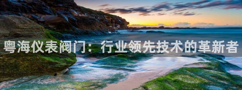 新宝gg和新宝123