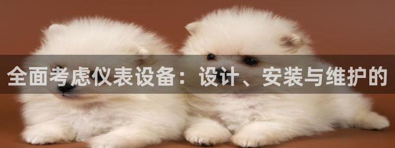 新宝GG53339咨询新宝GG