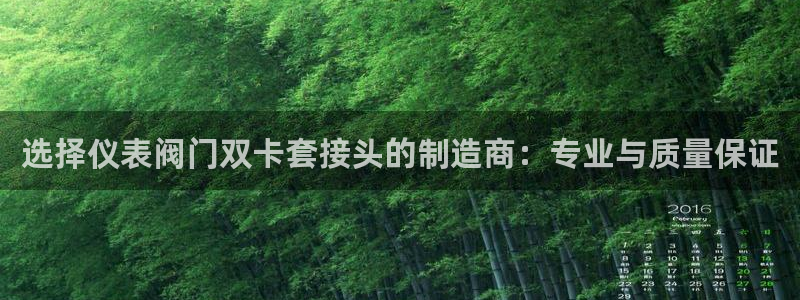 新宝gg dengludizhi