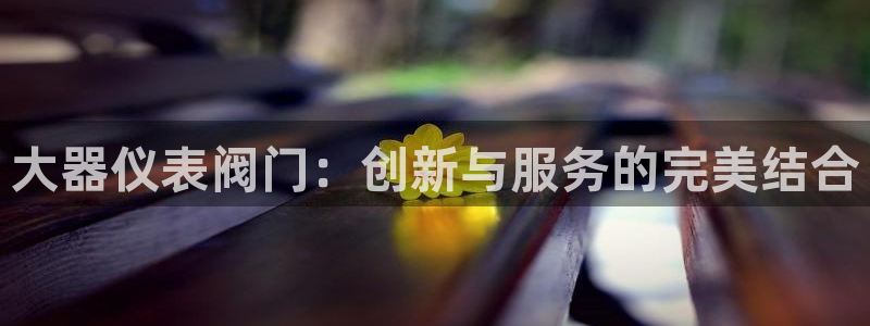 新宝gg如何代理