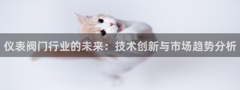 新宝gg 平台怎么样