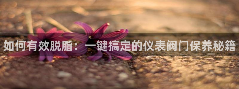 重庆新宝gg