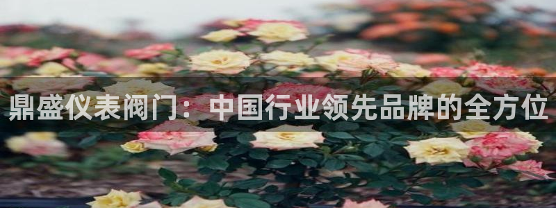 新宝gg娱乐上皇巢网