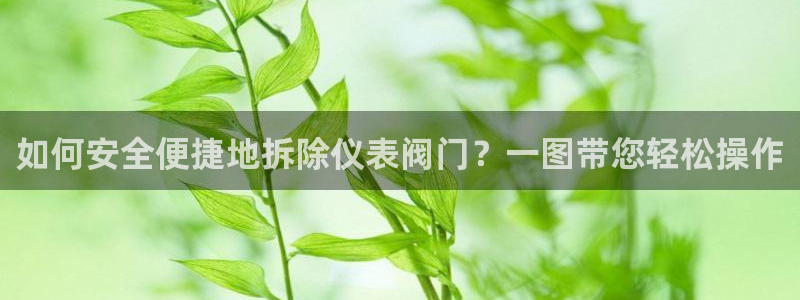 新宝 gg 登录注册